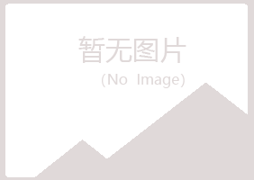 洮南夏青律师有限公司